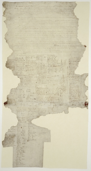 Treaty of Waitangi resized